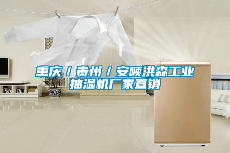 重慶／貴州／安順洪森工業(yè)抽濕機(jī)廠家直銷(xiāo)