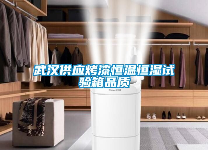 武漢供應烤漆恒溫恒濕試驗箱品質(zhì)