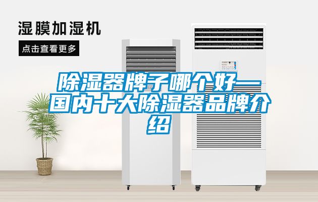 除濕器牌子哪個好—國內(nèi)十大除濕器品牌介紹
