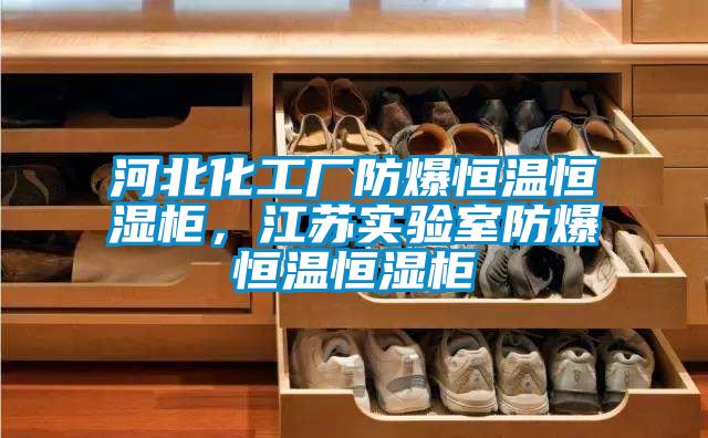 河北化工廠防爆恒溫恒濕柜，江蘇實(shí)驗(yàn)室防爆恒溫恒濕柜