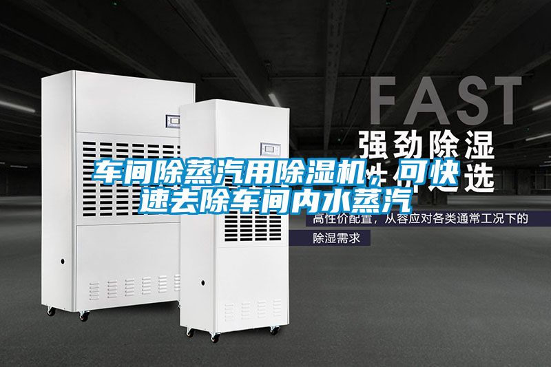 車間除蒸汽用除濕機，可快速去除車間內(nèi)水蒸汽