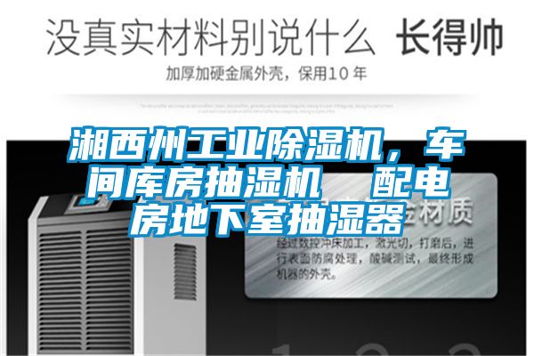 湘西州工業(yè)除濕機(jī)，車間庫房抽濕機(jī)  配電房地下室抽濕器