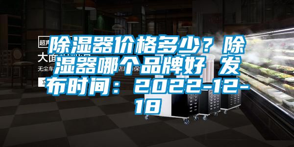 除濕器價格多少？除濕器哪個品牌好 發(fā)布時間：2022-12-18