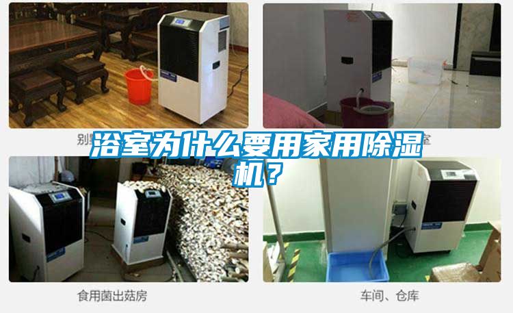浴室為什么要用家用除濕機(jī)？
