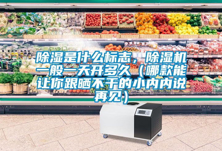 除濕是什么標志，除濕機一般一天開多久（哪款能讓你跟曬不干的小內(nèi)內(nèi)說再見）