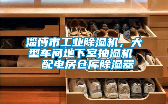 淄博市工業(yè)除濕機，大型車間地下室抽濕機  配電房倉庫除濕器