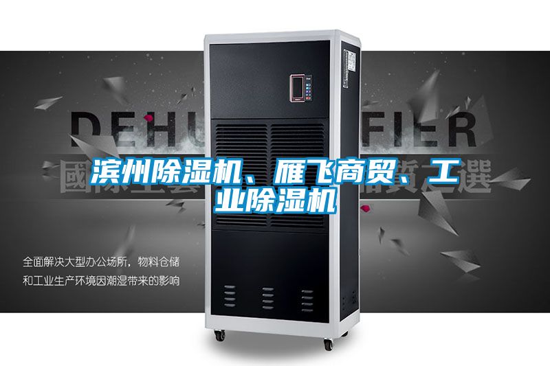 濱州除濕機(jī)、雁飛商貿(mào)、工業(yè)除濕機(jī)