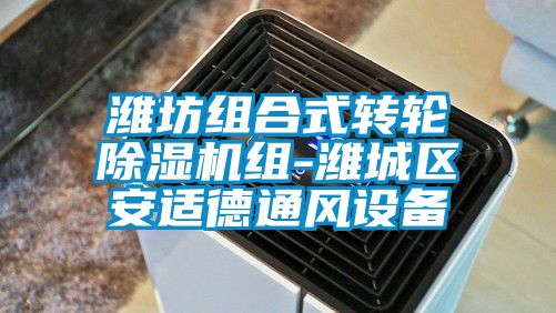 濰坊組合式轉(zhuǎn)輪除濕機組-濰城區(qū)安適德通風設(shè)備