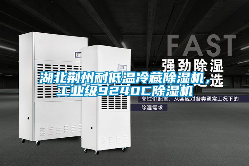 湖北荊州耐低溫冷藏除濕機，工業(yè)級9240C除濕機