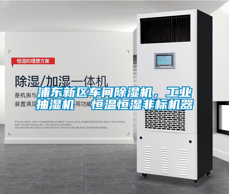 浦東新區(qū)車間除濕機，工業(yè)抽濕機  恒溫恒濕非標(biāo)機器