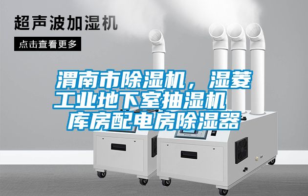 渭南市除濕機，濕菱工業(yè)地下室抽濕機  庫房配電房除濕器