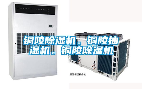 銅陵除濕機。銅陵抽濕機。銅陵除濕機