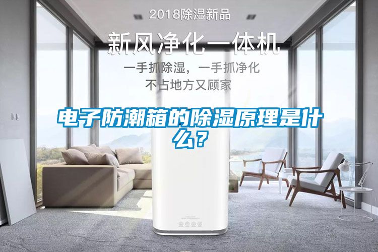 電子防潮箱的除濕原理是什么？
