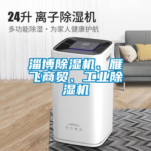 淄博除濕機(jī)、雁飛商貿(mào)、工業(yè)除濕機(jī)