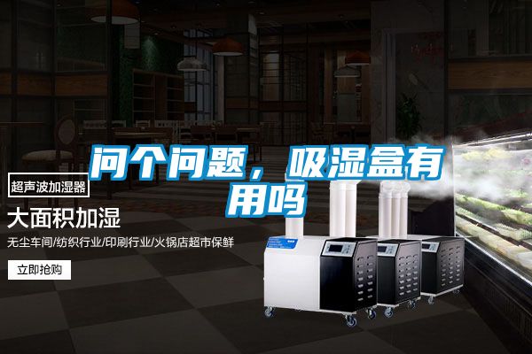 問個(gè)問題，吸濕盒有用嗎