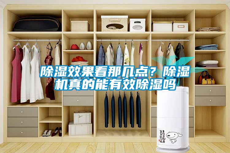 除濕效果看那幾點？除濕機真的能有效除濕嗎