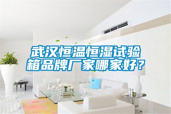 武漢恒溫恒濕試驗(yàn)箱品牌廠家哪家好？