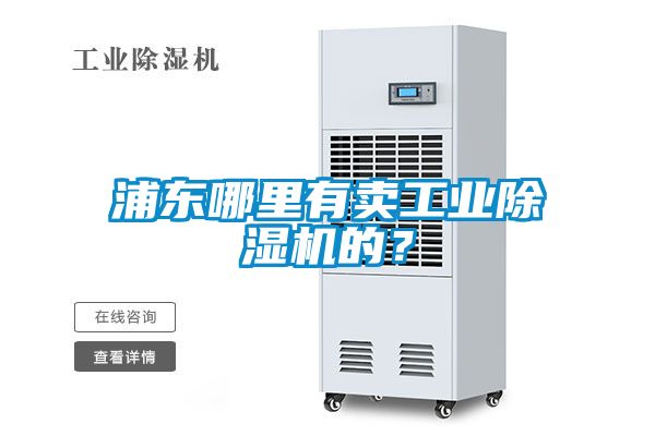 浦東哪里有賣(mài)工業(yè)除濕機(jī)的？