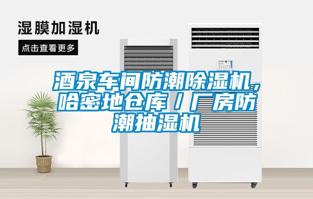酒泉車間防潮除濕機(jī)，哈密地倉庫／廠房防潮抽濕機(jī)
