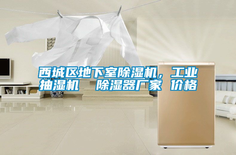 西城區(qū)地下室除濕機(jī)，工業(yè)抽濕機(jī)  除濕器廠家 價格