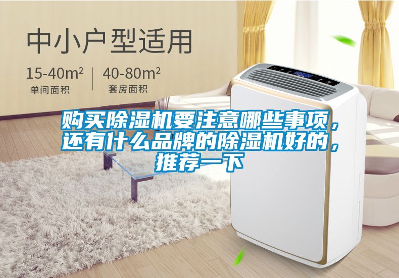 購(gòu)買除濕機(jī)要注意哪些事項(xiàng)，還有什么品牌的除濕機(jī)好的，推薦一下