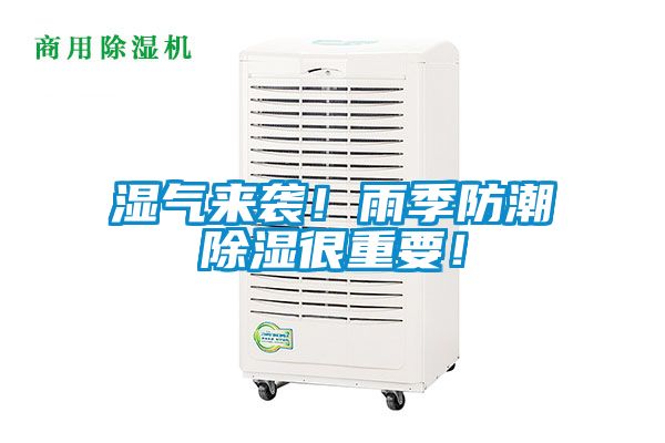濕氣來(lái)襲！雨季防潮除濕很重要！
