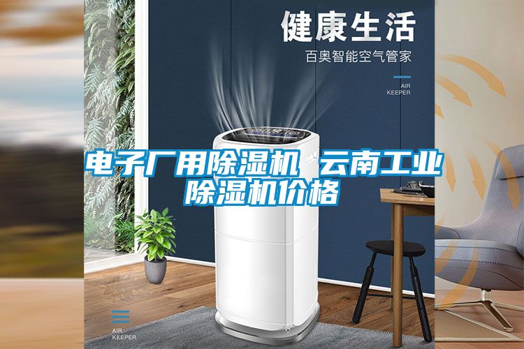 電子廠(chǎng)用除濕機(jī) 云南工業(yè)除濕機(jī)價(jià)格
