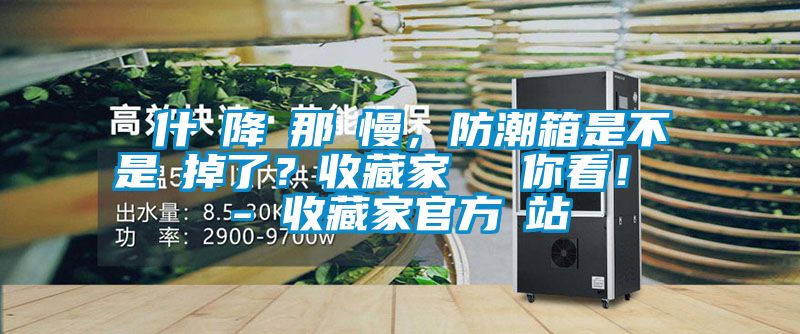 為什麼降濕那麼慢，防潮箱是不是壞掉了？收藏家實(shí)測給你看！ - 收藏家官方網(wǎng)站