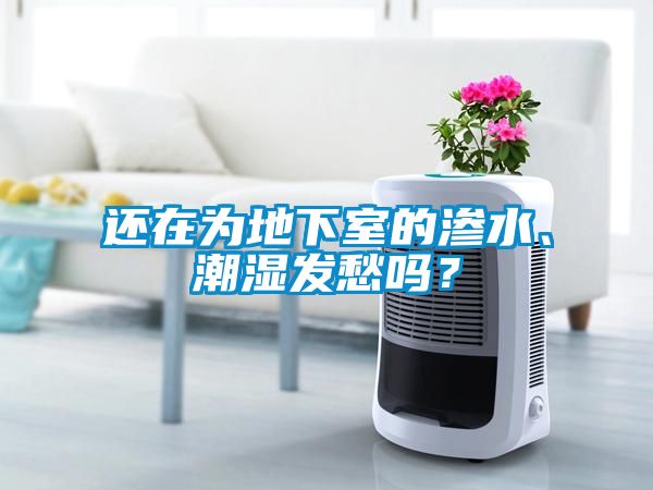 還在為地下室的滲水、潮濕發(fā)愁嗎？