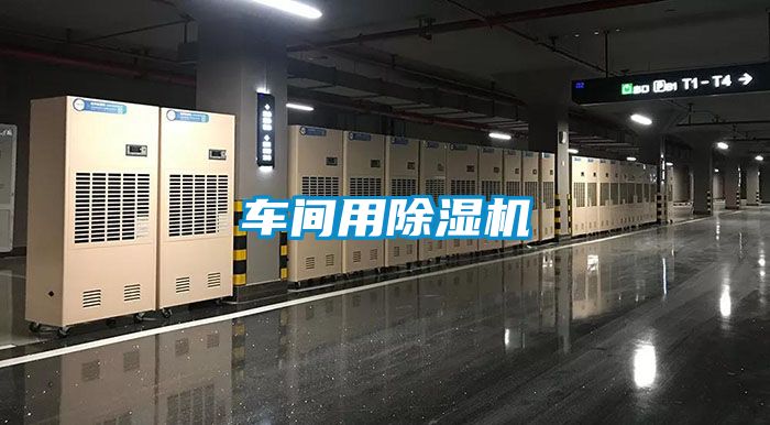 車(chē)間用除濕機(jī)