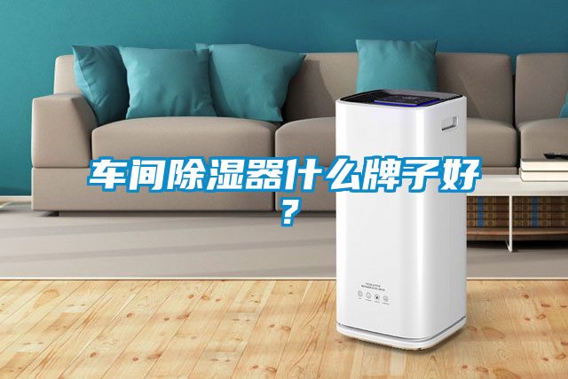 車間除濕器什么牌子好？