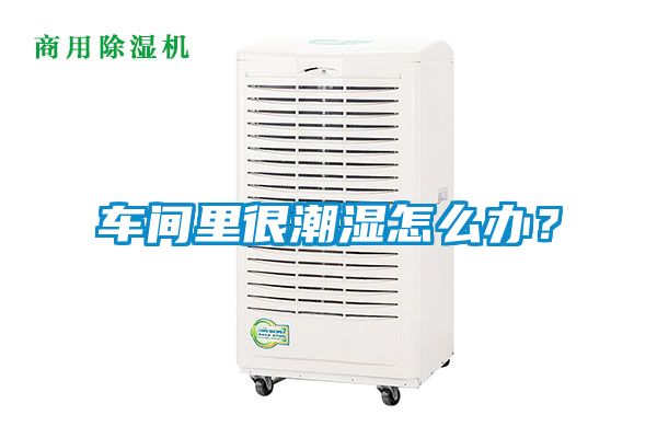 車間里很潮濕怎么辦？