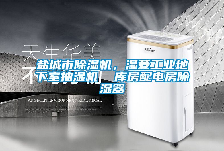 鹽城市除濕機(jī)，濕菱工業(yè)地下室抽濕機(jī)  庫(kù)房配電房除濕器