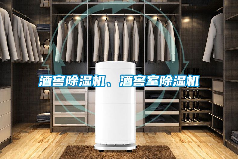 酒窖除濕機(jī)、酒窖室除濕機(jī)