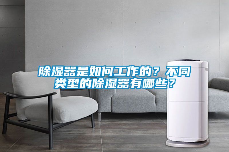 除濕器是如何工作的？不同類型的除濕器有哪些？