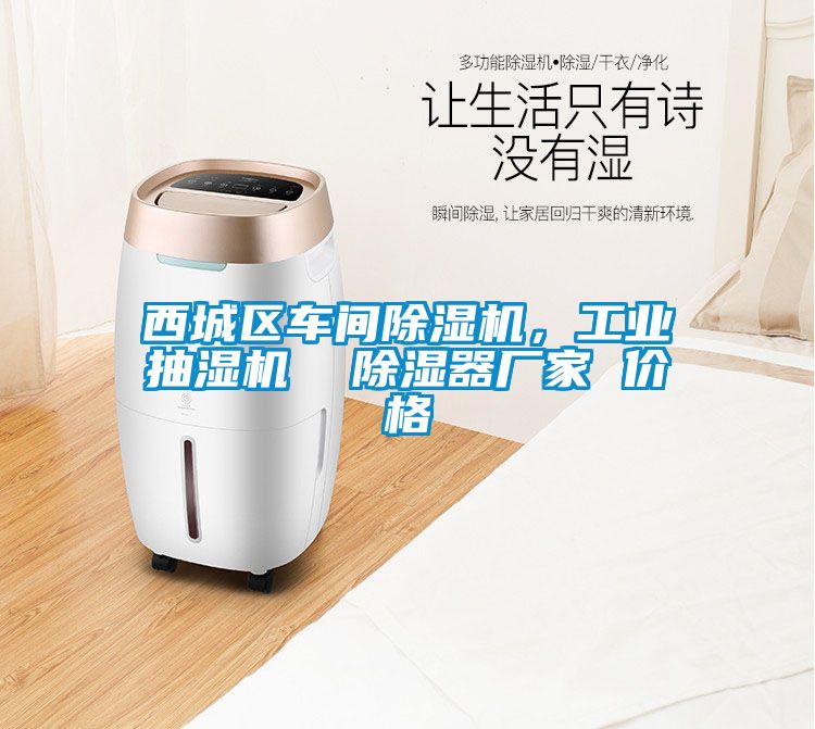 西城區(qū)車間除濕機(jī)，工業(yè)抽濕機(jī)  除濕器廠家 價(jià)格