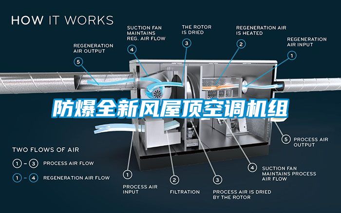 防爆全新風屋頂空調(diào)機組