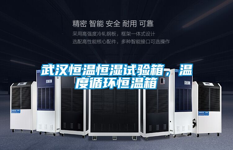 武漢恒溫恒濕試驗箱，溫度循環(huán)恒溫箱