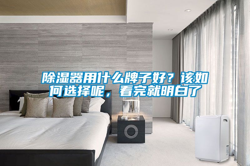 除濕器用什么牌子好？該如何選擇呢，看完就明白了