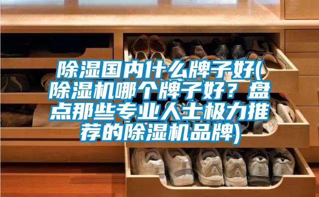 除濕國內(nèi)什么牌子好(除濕機(jī)哪個牌子好？盤點(diǎn)那些專業(yè)人士極力推薦的除濕機(jī)品牌)