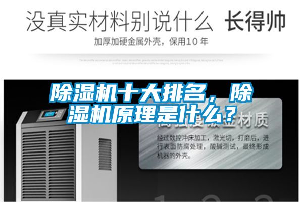除濕機(jī)十大排名，除濕機(jī)原理是什么？