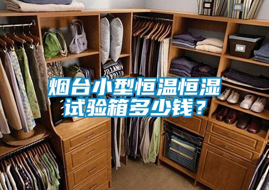 煙臺(tái)小型恒溫恒濕試驗(yàn)箱多少錢？