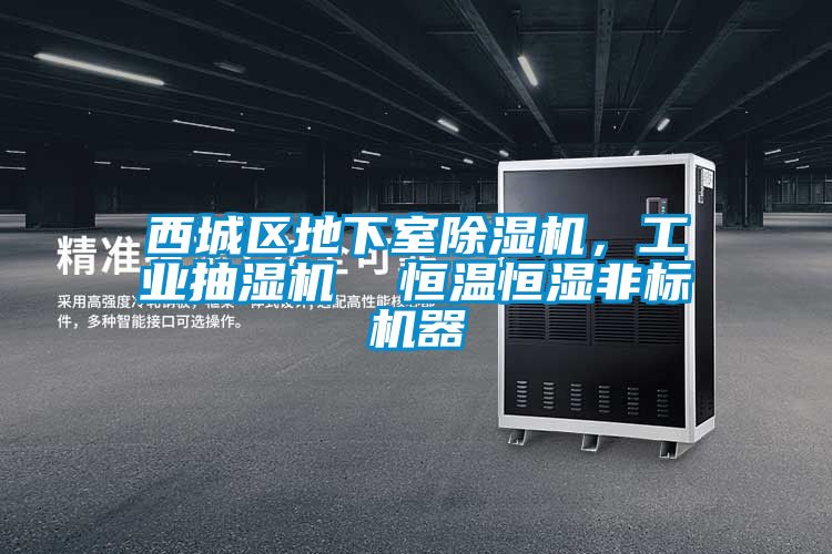西城區(qū)地下室除濕機，工業(yè)抽濕機  恒溫恒濕非標機器