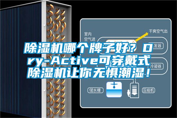除濕機哪個牌子好？Dry-Active可穿戴式除濕機讓你無懼潮濕！