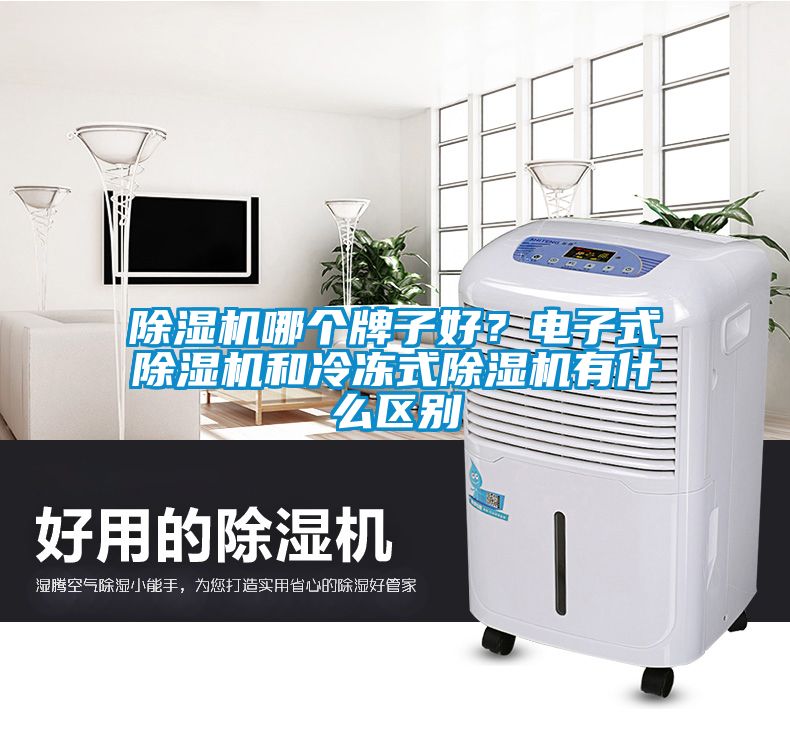 除濕機(jī)哪個(gè)牌子好？電子式除濕機(jī)和冷凍式除濕機(jī)有什么區(qū)別