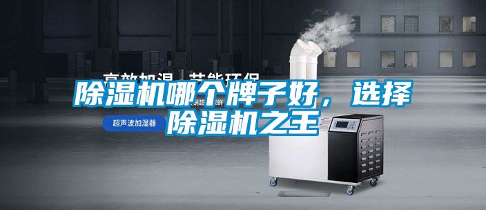 除濕機(jī)哪個(gè)牌子好，選擇除濕機(jī)之王