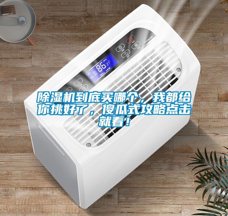除濕機到底買哪個，我都給你挑好了，傻瓜式攻略點擊就看！
