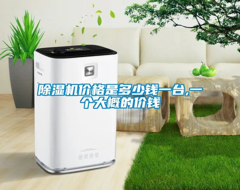 除濕機(jī)價(jià)格是多少錢(qián)一臺(tái),一個(gè)大概的價(jià)錢(qián)