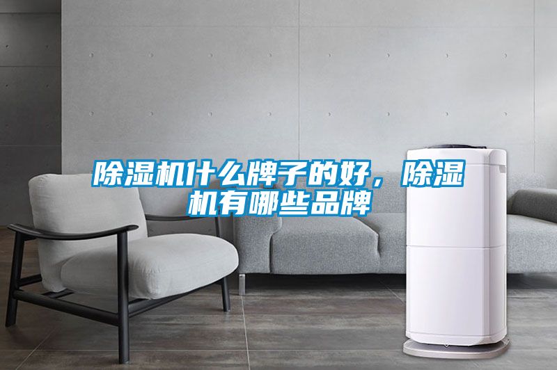 除濕機什么牌子的好，除濕機有哪些品牌