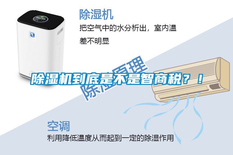 除濕機到底是不是智商稅？！